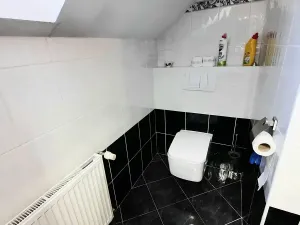 Pronájem rodinného domu, Liberec, Irkutská, 250 m2
