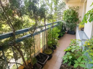Prodej bytu 2+1, Duchcov, Vrchlického, 61 m2