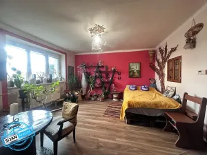 Prodej bytu 2+1, Litovel, 56 m2