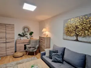 Pronájem bytu 3+1, Olomouc, 71 m2