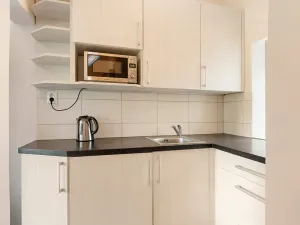 Prodej bytu 1+kk, Brno, Drobného, 30 m2