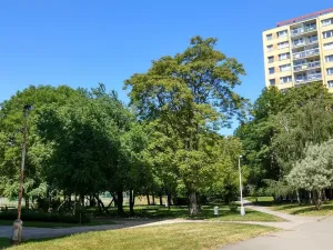 Prodej bytu 1+1, Praha - Kobylisy, Paláskova, 33 m2