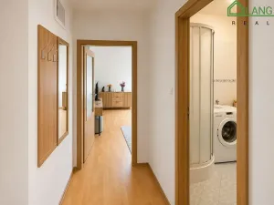 Pronájem bytu 2+kk, Brno, Králova, 37 m2