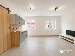 Prodej bytu 1+kk, Brno, Viniční, 27 m2