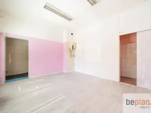 Prodej vícegeneračního domu, Kynšperk nad Ohří, Jana Nerudy, 260 m2