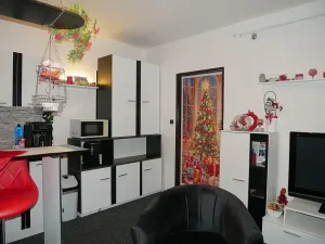Pronájem bytu 1+kk, Brno, Malešovská, 30 m2