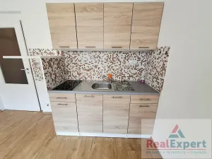 Pronájem bytu 1+kk, Praha - Žižkov, Jeseniova, 20 m2