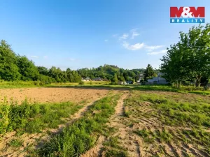Prodej pozemku pro bydlení, Bělá nad Radbuzou, 1326 m2