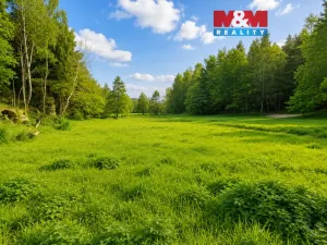 Prodej louky, Bor - Skviřín, 1522 m2