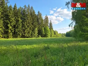 Prodej louky, Bor - Skviřín, 1522 m2