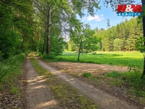 Prodej louky, Bor - Skviřín, 1522 m2