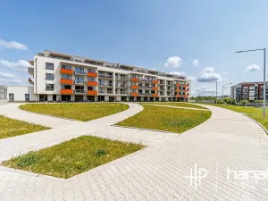 Pronájem bytu 1+kk, Olomouc, Aloise Rašína, 35 m2