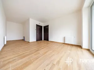 Pronájem bytu 2+kk, Olomouc, Třída Jiřího Pelikána, 46 m2