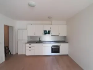 Pronájem bytu 1+kk, Praha - Žižkov, Kunešova, 34 m2