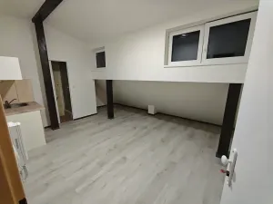 Pronájem bytu 1+kk, Praha - Hlubočepy, Na Zlíchově, 23 m2
