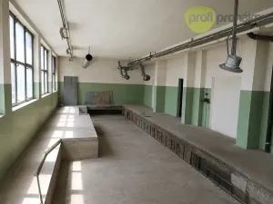Pronájem skladu, Zlín, Šedesátá, 240 m2