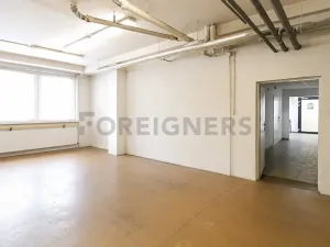 Pronájem skladu, Brno, Vinohradská, 153 m2