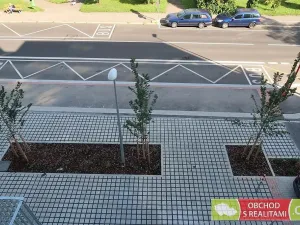 Pronájem bytu 1+kk, Praha, Štěchovická, 45 m2