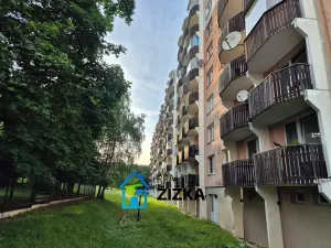 Pronájem bytu 1+1, Brno, Voříškova, 35 m2
