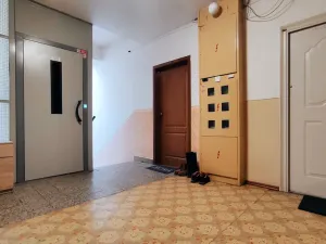 Prodej bytu 2+1, Kamenná, 56 m2