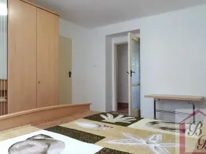 Pronájem bytu 2+1, Mladá Boleslav, Erbenova, 49 m2