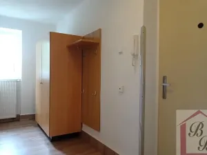 Pronájem bytu 2+1, Mladá Boleslav, Erbenova, 49 m2