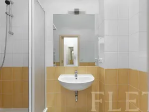 Pronájem bytu 1+1, Praha - Holešovice, Kamenická, 45 m2