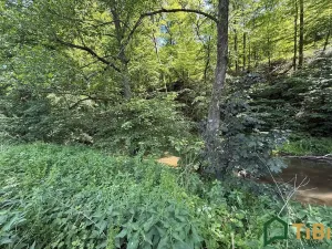 Prodej louky, Bílovice nad Svitavou, 3200 m2