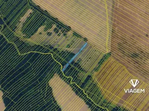 Prodej podílu pole, Mistřice, 1001 m2