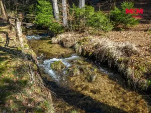 Prodej rodinného domu, Desná - Desná III, Polubenská, 248 m2