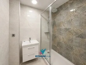 Prodej bytu 2+1, Teplice, V břízkách, 54 m2