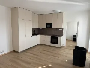 Pronájem bytu 2+kk, Brno, Kociánka, 50 m2