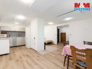 Prodej chalupy, Město Albrechtice - Česká Ves, 142 m2