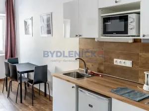 Pronájem bytu 1+kk, České Budějovice, Nová, 30 m2