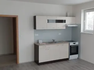 Pronájem bytu 1+kk, České Budějovice, Pekárenská, 30 m2