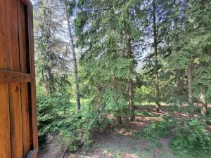 Prodej chaty, Borová, 53 m2