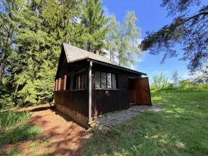 Prodej chaty, Borová, 53 m2