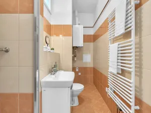 Pronájem bytu 1+kk, Pardubice, Železničního pluku, 37 m2
