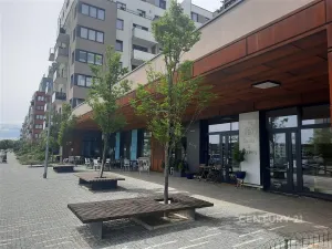 Pronájem bytu 3+kk, Praha, Honzíkova, 98 m2