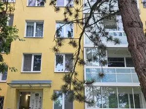 Prodej bytu 1+kk, Brno, Vltavská, 30 m2
