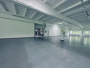 Pronájem výrobních prostor, Chodová Planá, Kyjovská, 2497 m2