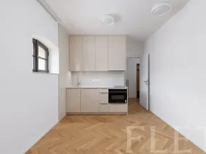 Pronájem bytu 1+kk, Praha - Nusle, Mnatova, 26 m2