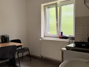 Prodej obchodního prostoru, Děčín, Krásnostudenecká, 420 m2