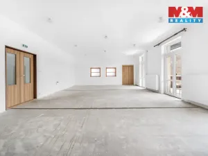 Prodej ubytování, Borušov - Svojanov, 1890 m2