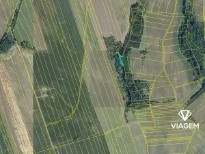 Prodej zahrady, Kojice, 500 m2