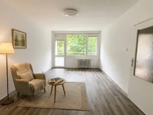 Pronájem bytu 1+1, Litvínov, U Bílého sloupu, 40 m2