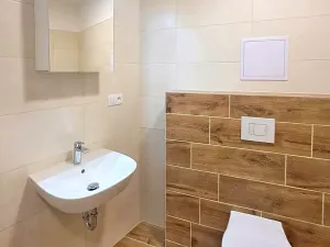 Pronájem bytu 1+kk, Brno, Koliště, 32 m2