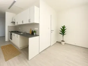 Pronájem bytu 2+1, Litvínov, Mládežnická, 67 m2