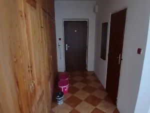 Prodej bytu 2+1, Cheb, Jungmannova, 54 m2