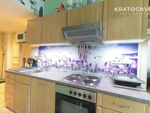 Pronájem bytu 2+kk, Praha - Žižkov, Rečkova, 48 m2